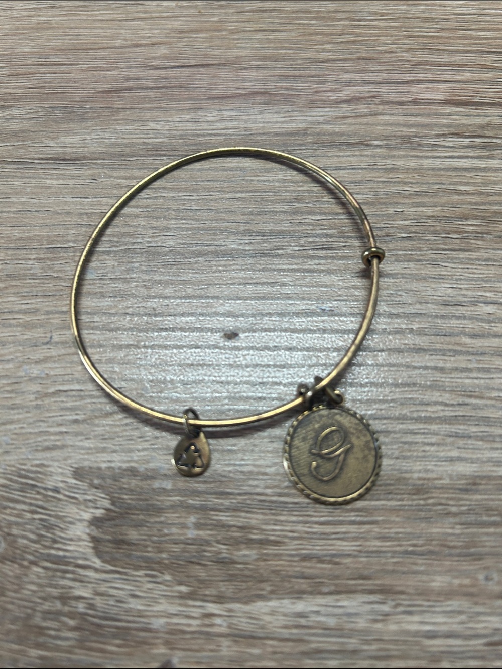 Alex and Ani Gold Initial G Charm Bangle Bracelet